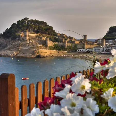 Pau Picasso - Estudio Con Piscina Y Terraza Lejlighed Tossa de Mar